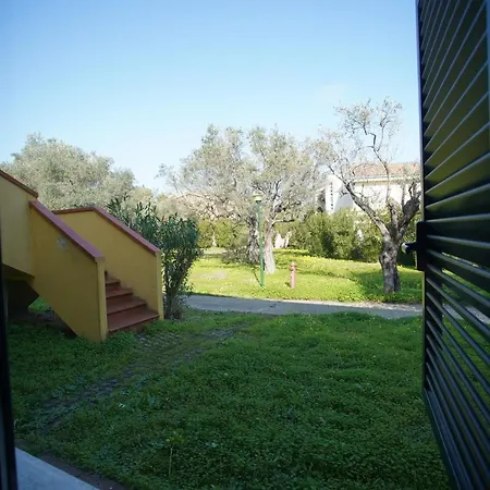Oasi Degli Ulivi Apartment