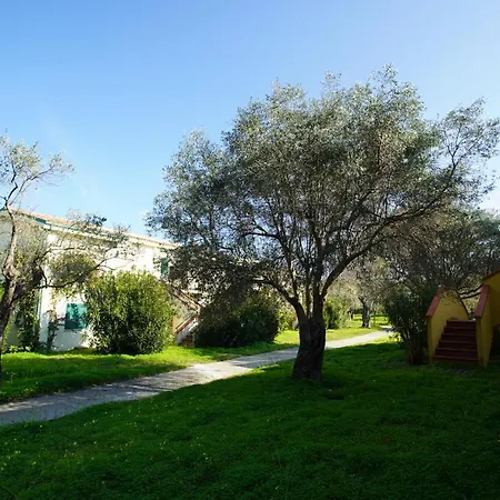 Oasi Degli Ulivi Apartment Sant'Andrea Apostolo dello Ionio